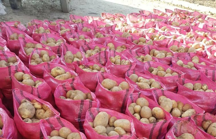 خرید و فروش سیب زمینی در بازار همدان