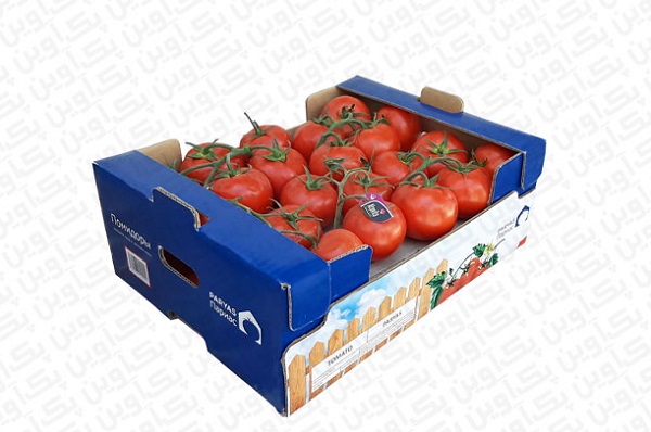 فروش گوجه فرنگی صادراتی کرمانشاه بصورت عمده