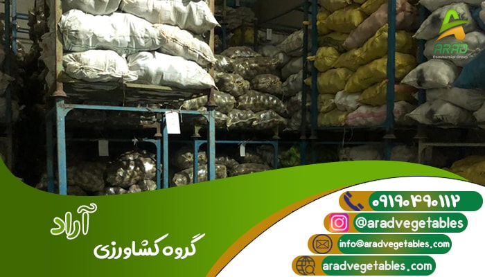 قیمت خرید سیب زمینی در شهر همدان