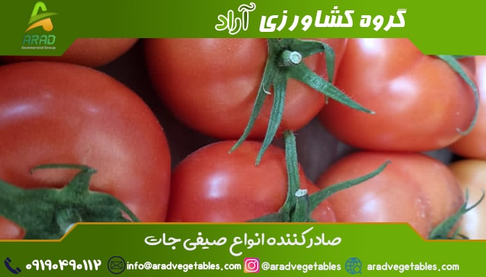 پخش مستقیم سیب زمینی ارزان قیمت
