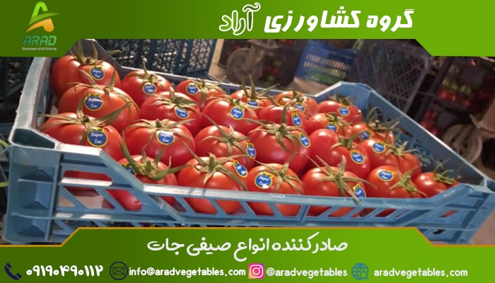 قیمت گوجه فرنگی گلخانه ای در بازار امروز بصورت عمده