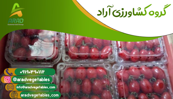 گوجه فرنگی گیلاسی صادراتی جهت خرید از گروه کشاورزی آراد