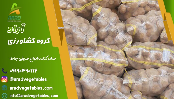 قیمت سیب زمینی آگریا در بازار ایران