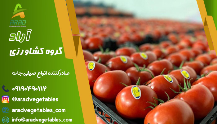 خرید گوجه فرنگی گلخانه ای در گروه کشاورزی آراد