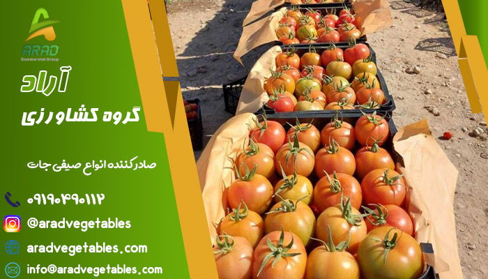 فروش گوجه فرنگی در بهترین قیمت | گروه کشاورزی آراد