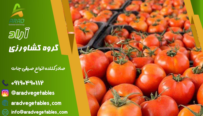 فروش عمده گوجه فرنگی گلخانه ای در سراسر جهان با قیمت ارزان