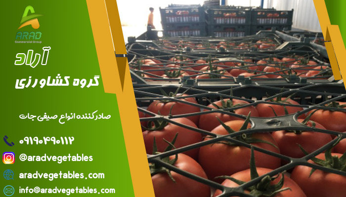 قیمت خرید گوجه فرنگی از کشاورزان به صورت عمده