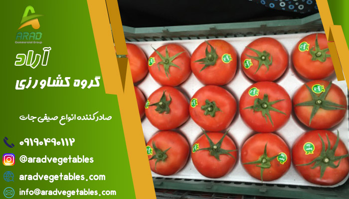صادرات گوجه فرنگی به عراق در گروه کشاورزی آراد