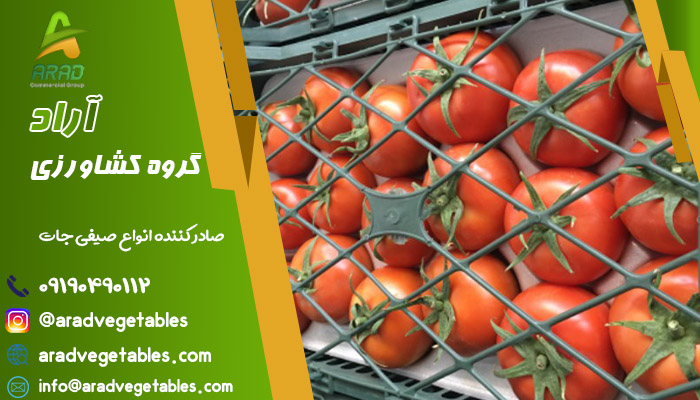 خرید گوجه فرنگی گلخانه ای صادراتی