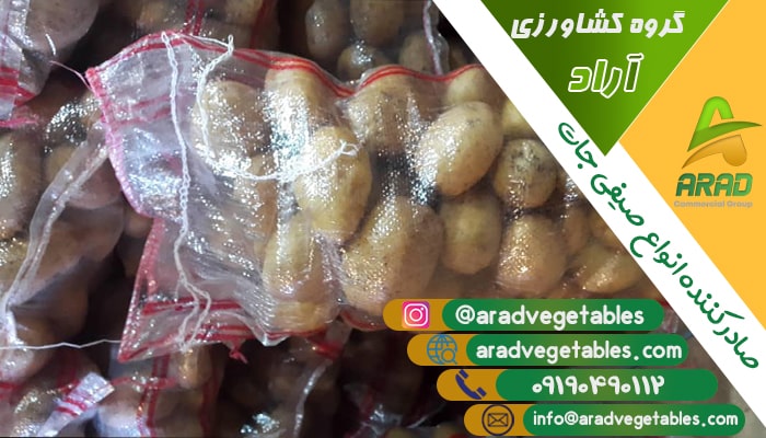 خرید عمده سیب زمینی آگریا در تهران