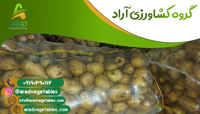 بازار فروش سیب زمینی در ایران