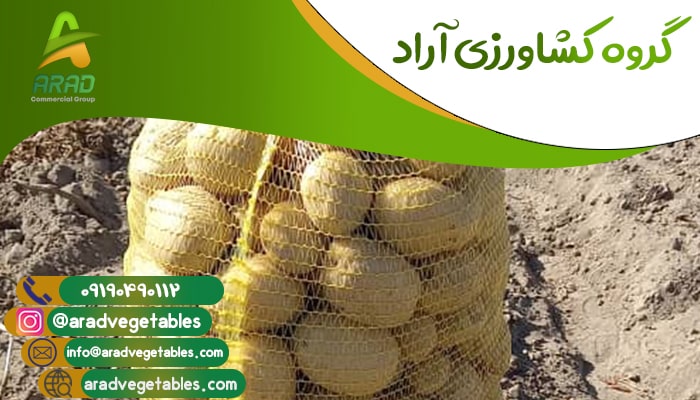 صادرات سیب زمینی جلی پاکستان