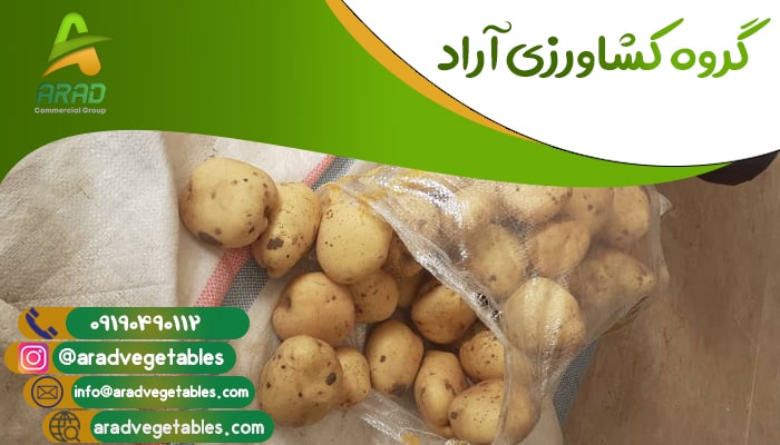 صادرات سیب زمینی جلی پاکستان