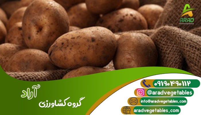 قیمت سیب زمینی صادراتی در بازار ایران