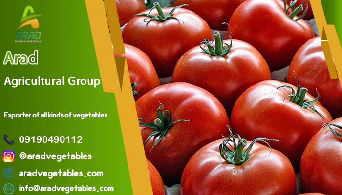 خرید گوجه فرنگی زمینی + قیمت گوجه فرنگی زمینی